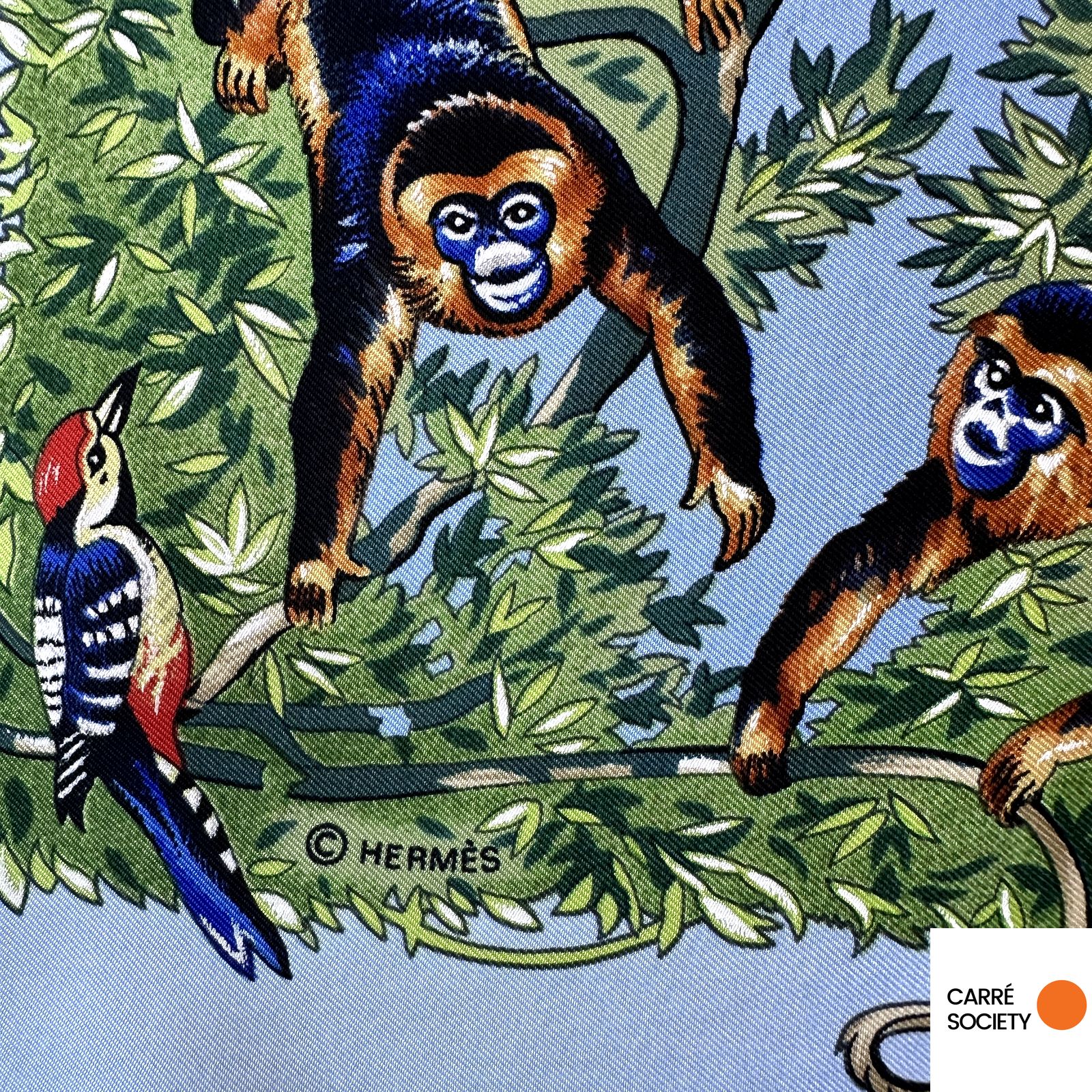 Foulard Hermès 90 cm – Sichuan – Robert Dallet (1995)