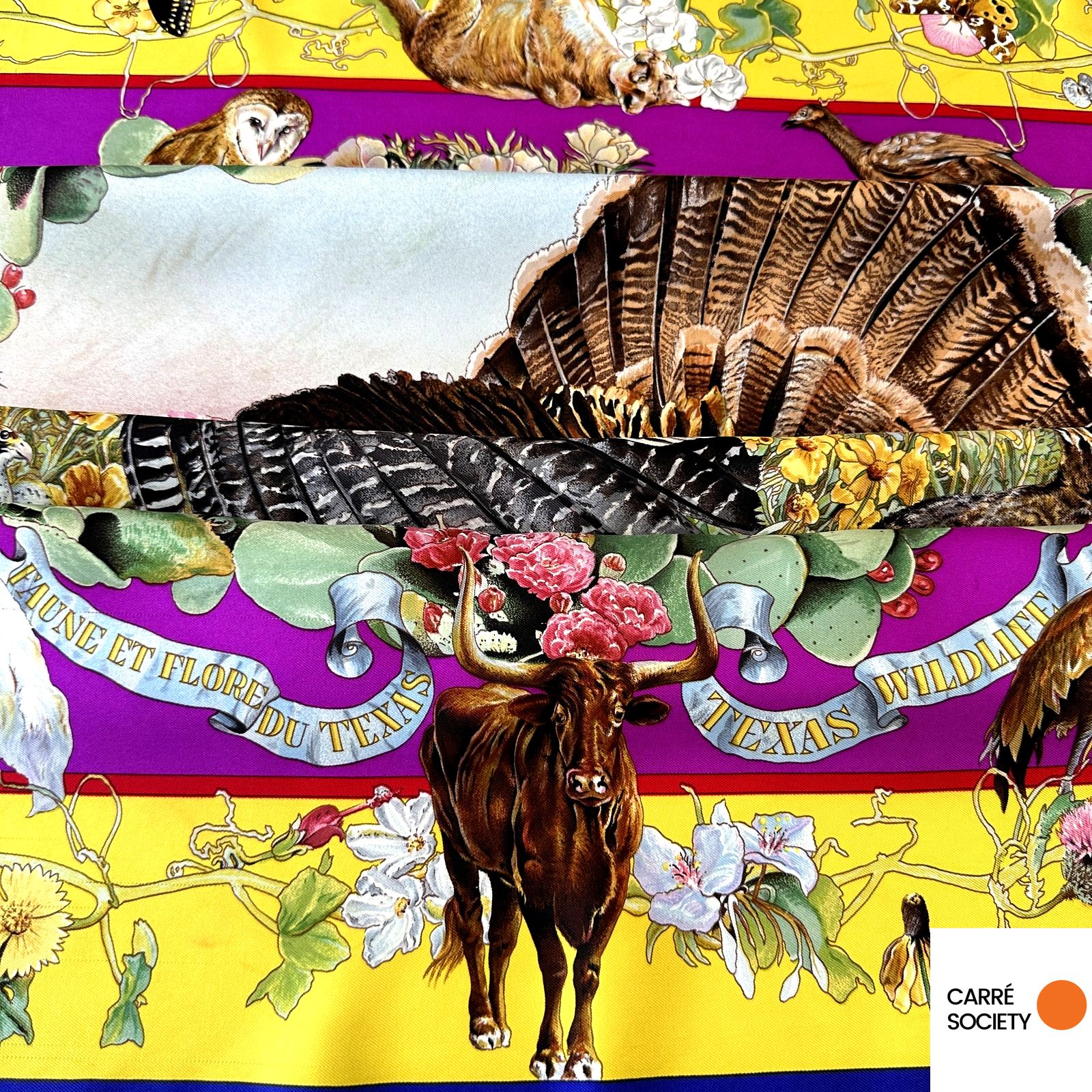 Détail d'un buffle et des fleurs