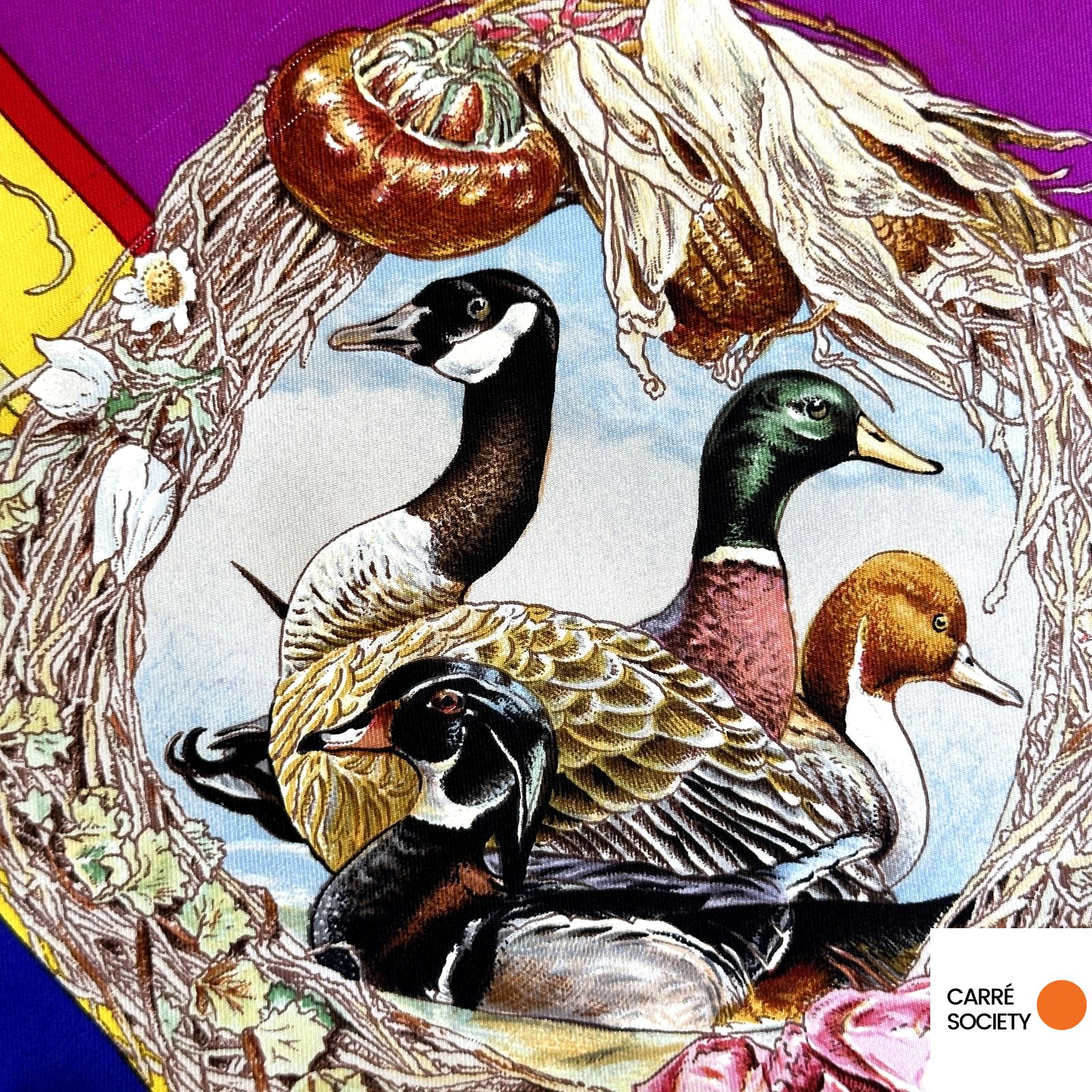 détail du canard dans un coin