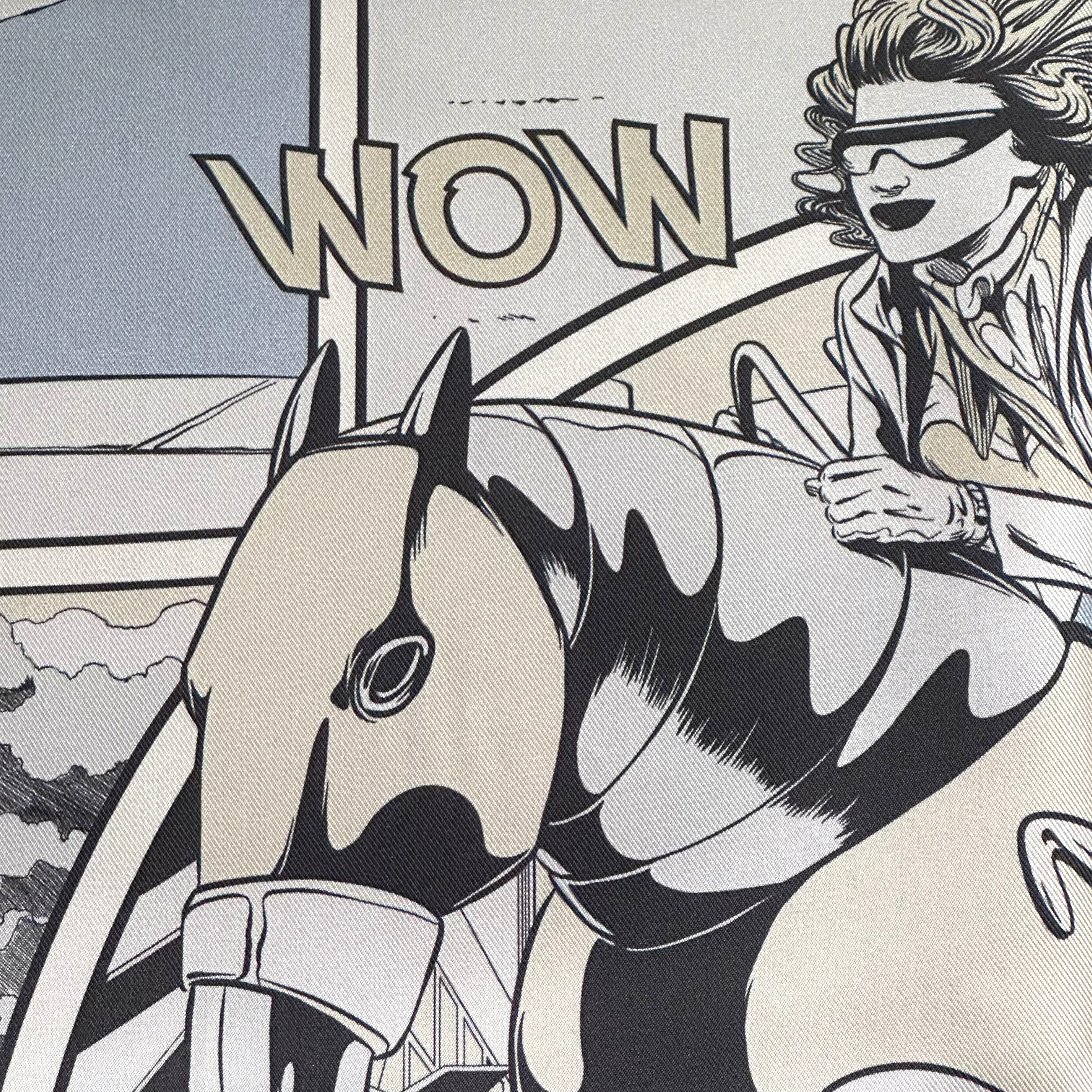 Wow - HERMES Double Face SCARF