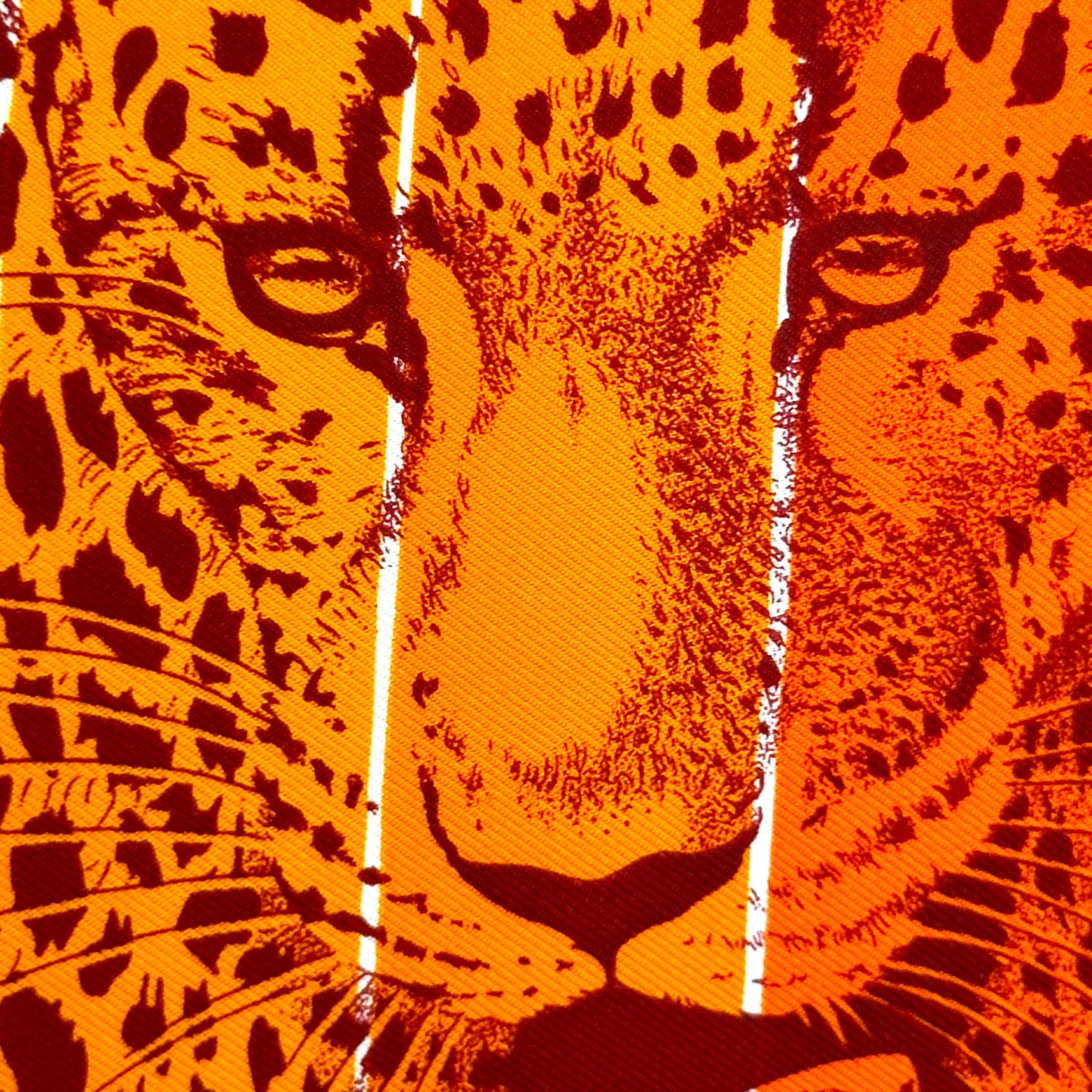 JUNGLE LOVE RAINBOW - HERMES 90 SCARF