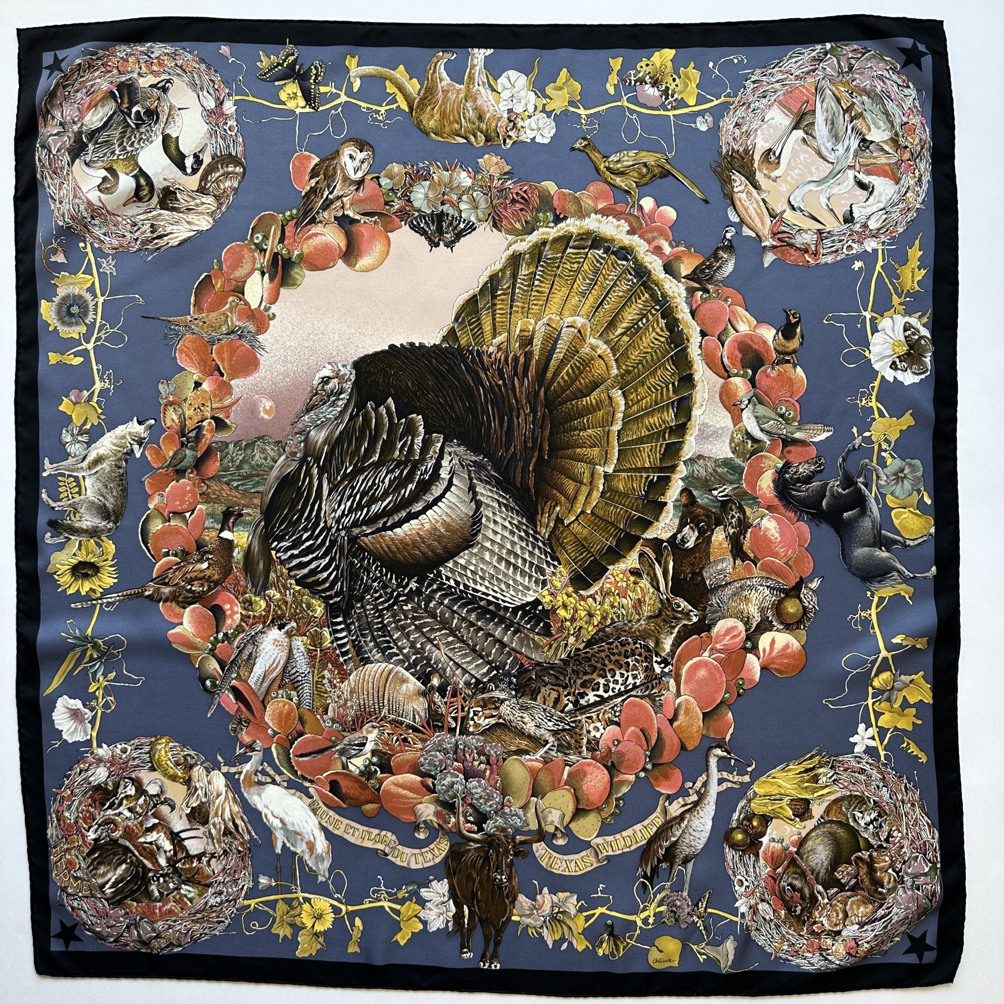 Faune et Flore du Texas - FOULARD HERMES 90 CM