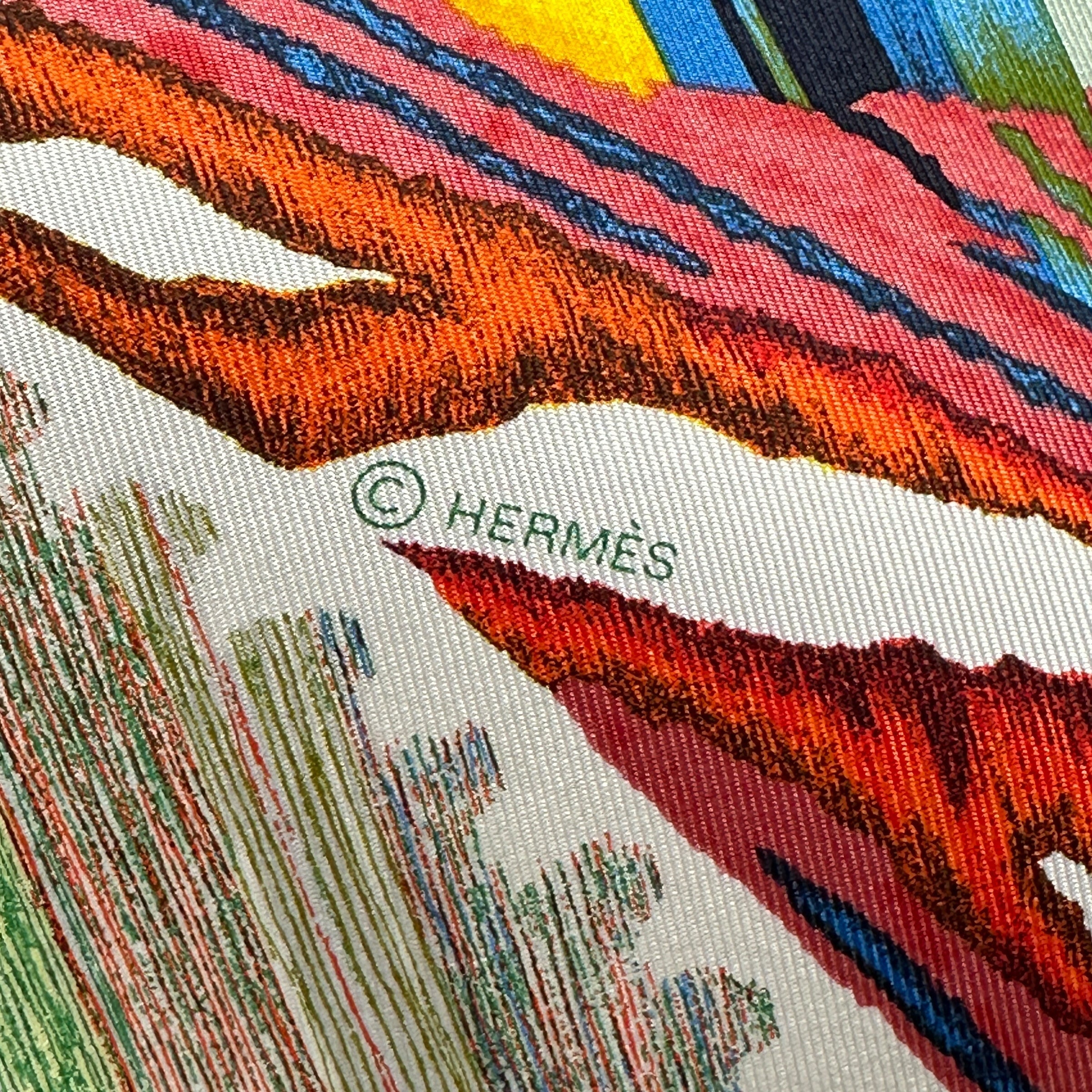 copyright-hermes-sur-Analyzing image  foulard-carre-hermes-le-chat-carre-par-florence-manlik
