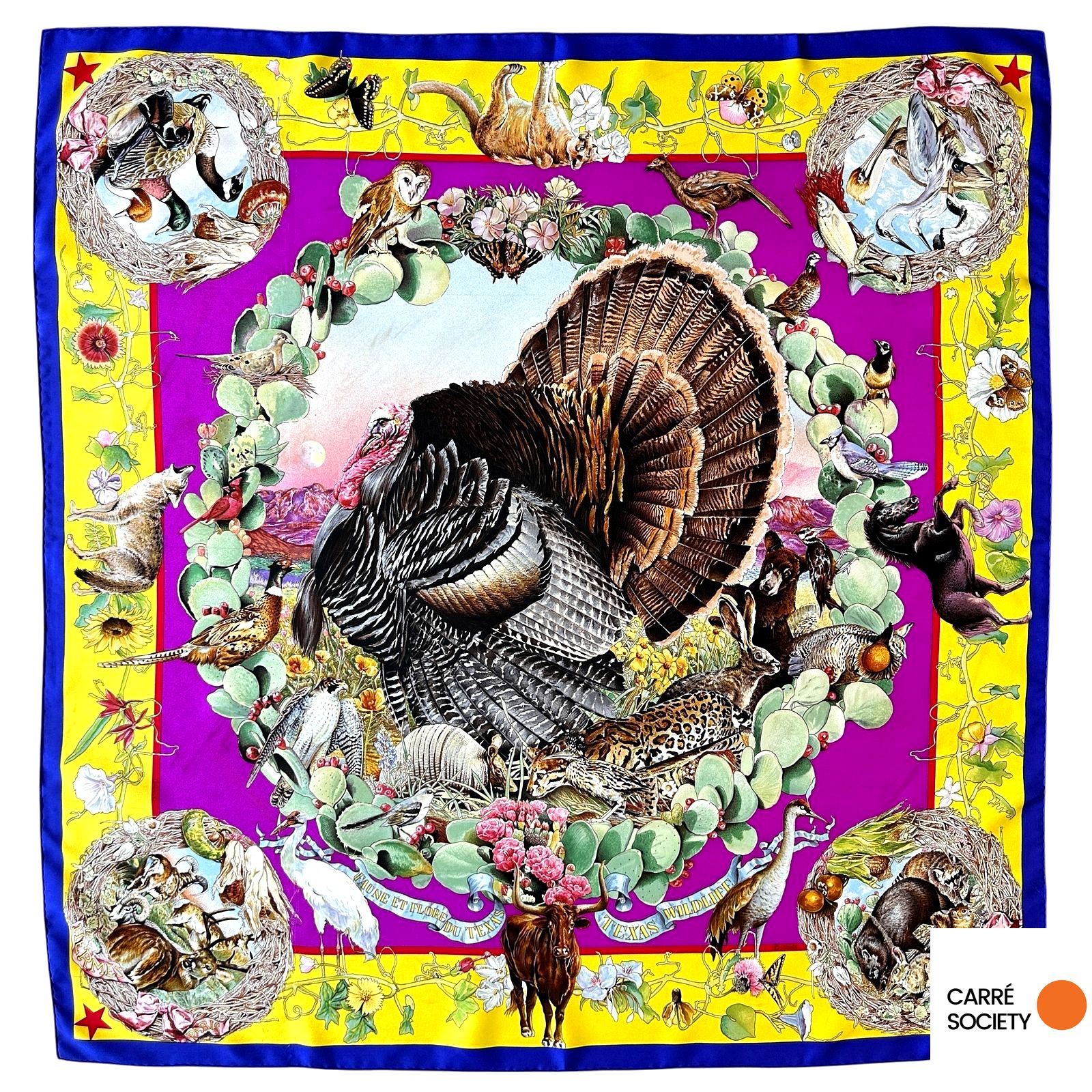 Vue d’ensemble du foulard Hermès Faune et Flore du Texas